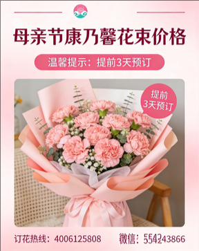 梧州腾县花店母亲节康乃馨花束