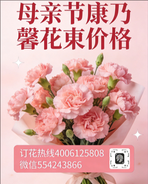 梧州腾县花店母亲节康乃馨花束