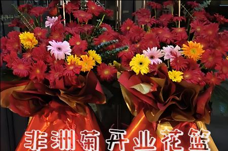 梧州腾县开业花篮